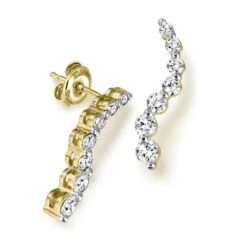 Journey Of Love Earrings